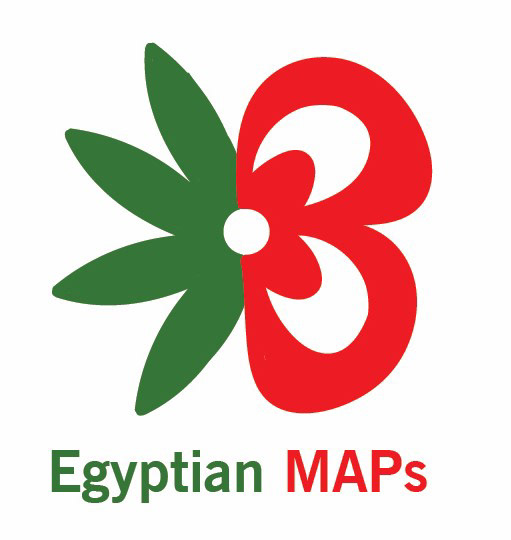 egypt plants design Logo Design logo giveaway graphic design  packaging design Tote Bag logos