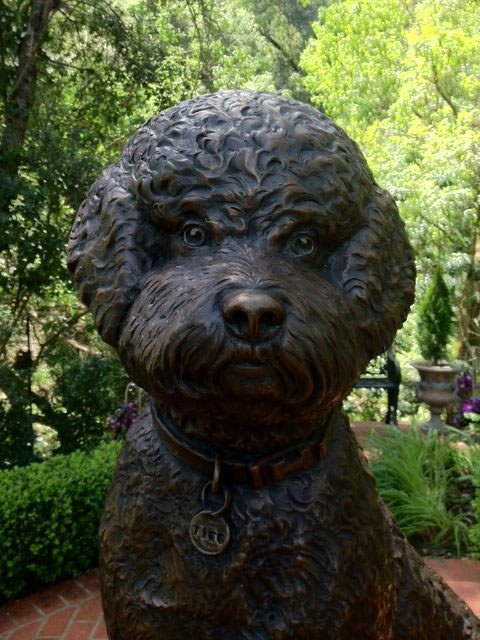 bronze dogs Dog Portraits bulldog statue dachshund statue rottweiler portrait statue poodle portrait statue pitbull statue black lab statue pug portrait bosco dog mayor life-size dog sculptures custom dog statues monty therapy dog personalized dog sculptures how to order