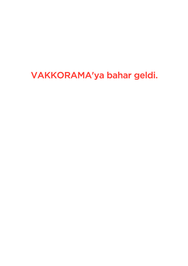online mailing design vakko Vakkorama v2kdesigners