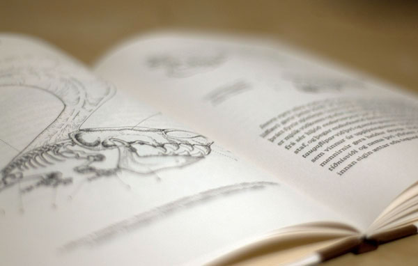book design  anatomy letters alphabet fonts drawings species fossils archeology Ancient skull bones skeleton