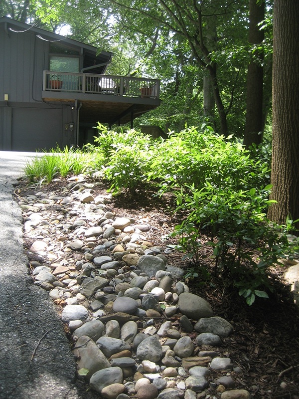 erosion control access walkways plantings water feature walls native plants stormwater management steep slopes runoff grading studies impervious cover