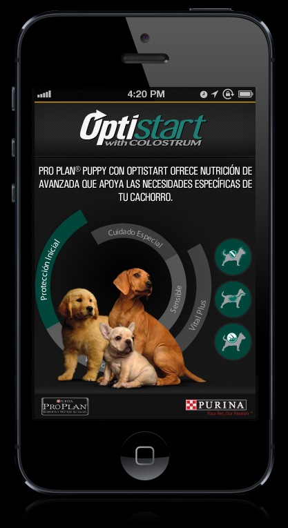 design tablet mobile  app  android Website ProPlan Purina diseño argentina perros dogs cats gatos