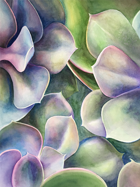 abstract abstraction watercolor watercolour Succulent Plant FINEART