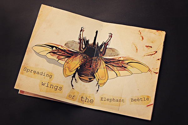 Zine  Insects Bugging around art Booklet