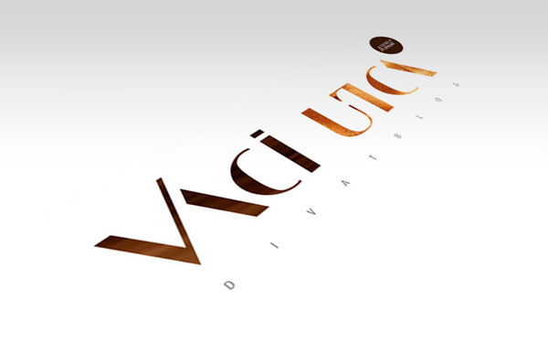 vaciutca  fashion blog Blog logo  headline