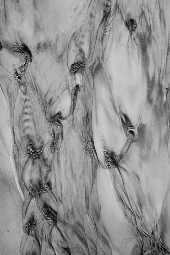 sand bw grayscale forest tasmania water Transformation shapes faces Nature