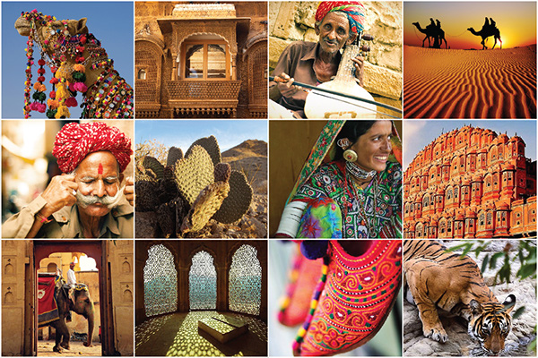 Branding | Logo Design - Rajasthan Tourism