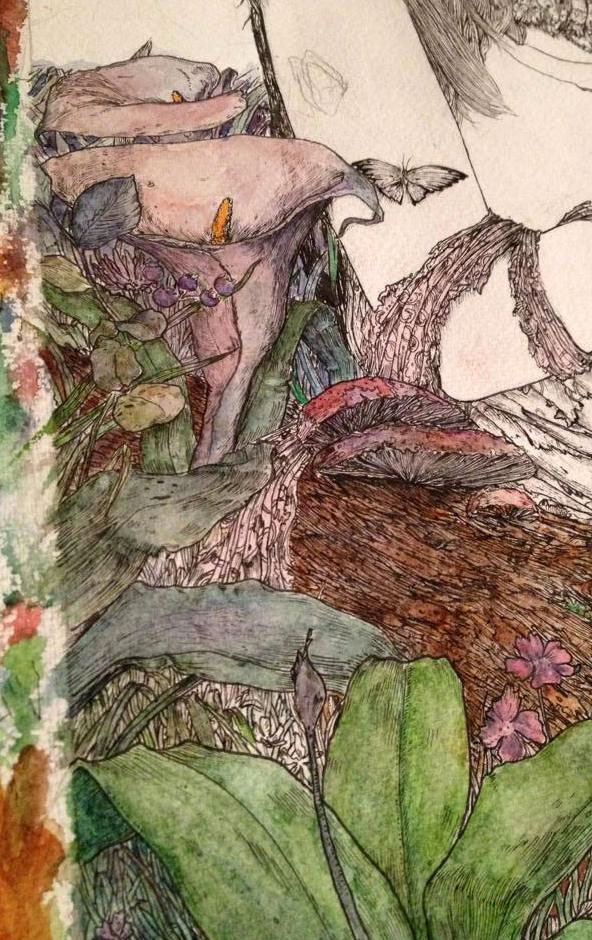 Watercolours acrylics Fineliners ink woods forest girl birds Flowers Flora irish dublin trees dark night