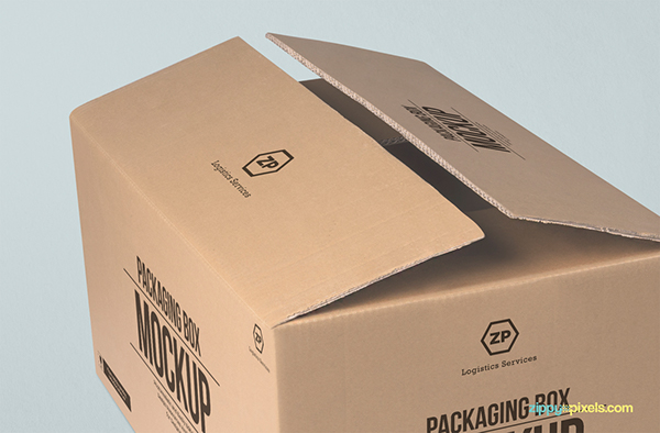 2 Free Packaging Box Mockups