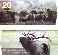 money design Polymer Bills banknote design national parks thesis