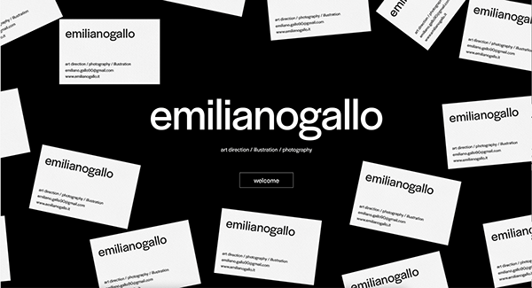 identity and website / emilianogallo