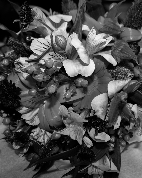 wedding marriage Landscape storytelling   Syrenia Imagery California beach Flowers family portraits Artistic Photography