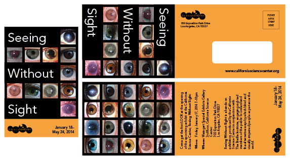 museum science science museum blind blindness sight Street Banners Invitation Exhibition 
