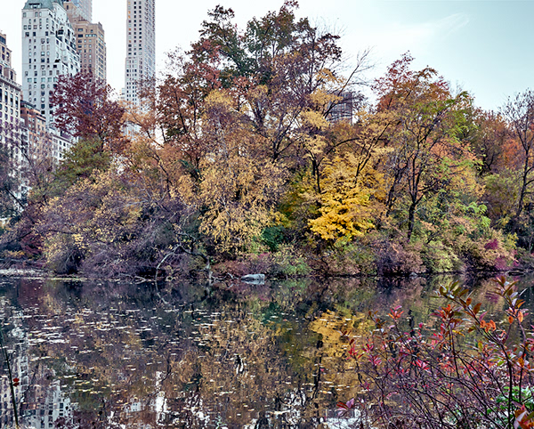 Autumn In Central Park on Behance
