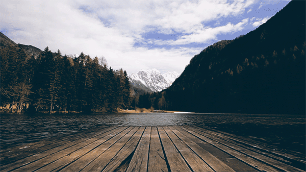 lake mountains log water Nature Flowers forest jezersko flixel cinemagraph gif river