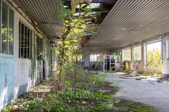 abandon abandonné industrie Nature Ruine rurex urban exploration urbex usine Adobe Portfolio