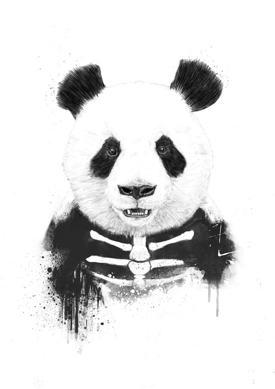 animals skull dog bulldog Panda  humor funny grunge black and white portrait