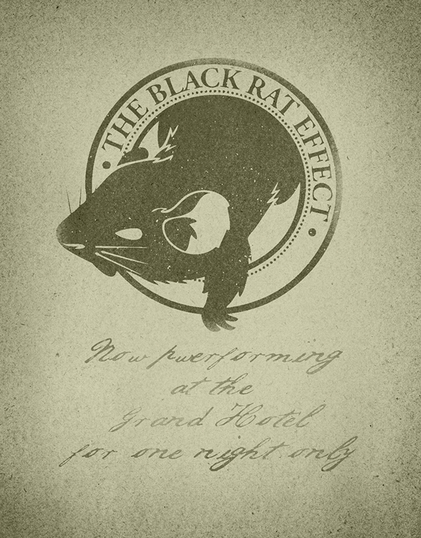 The black rat