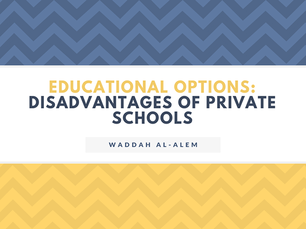 Waddah Al-Alem Disadvantages of Private Schools
