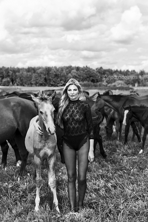 horse horses model portrait pasture women legs face foal run runing Herd