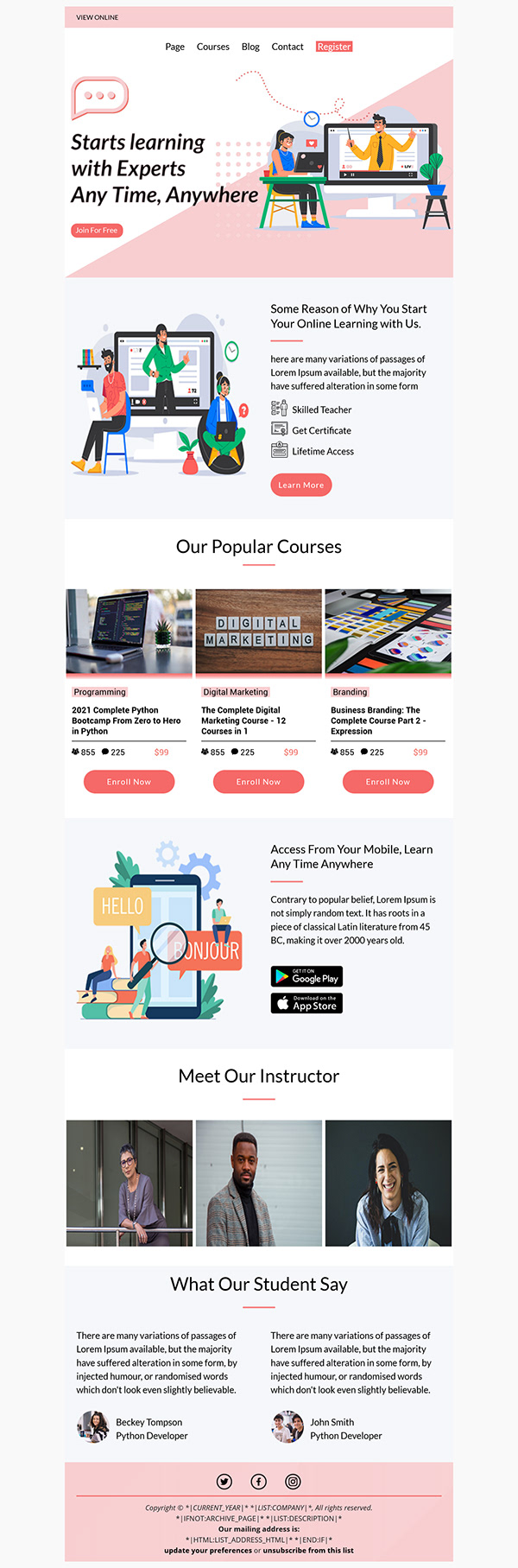 Online Education Email template