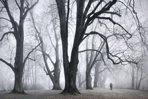 brothers grimm fairytale kilian schoenberger kilian schönberger winter autumn Magic   entchanted fog Mystic concept