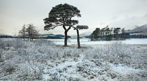 panoramic landscapes scotland winter