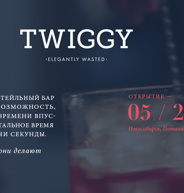 Twiggy bar twiggy bar novosibirsk London coctail barmen MartDesign Studio MartDesign Friends bar web site заглушка коктель Лондон