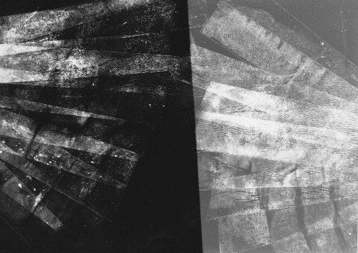 Photogramme argentique ivan tarrieu collage Experimentation alsace strasbourg noir & blanc Mains abstrait