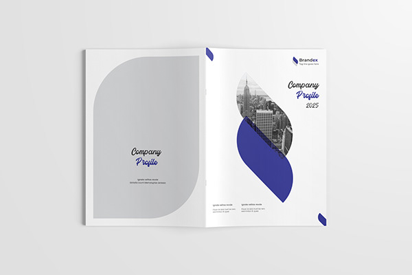 InDesign Company profile | Brochure | proposal template