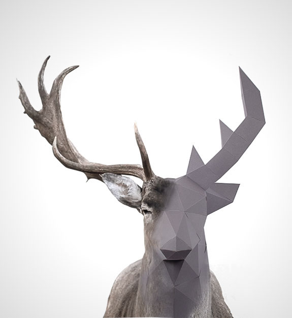 Real Paper Animal Heads on Behance