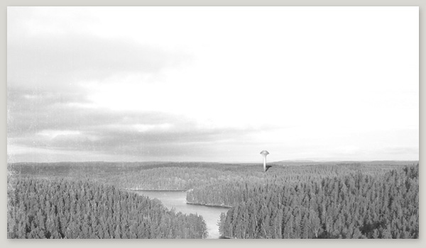 morfologia longinotti morfo longi morfo 2 longi 2 ecosistema atlas bosque Parque Finlandia ilustracion fadu boreal