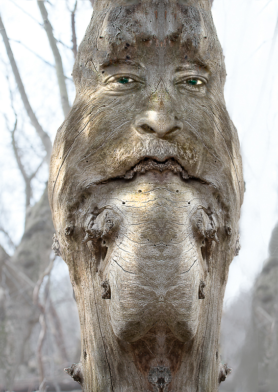 woodart spirit face druid fantasy