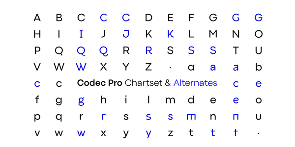 Codec Pro - The Workhorse Sans