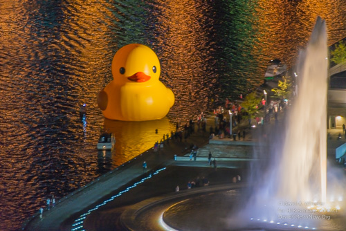 Pittsburgh PA rubber duck The Point fountain three rivers