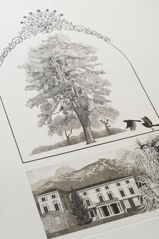 garden villa storica illustrazioni botaniche xavier de maistre torino