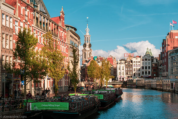 Travel Journal: Amsterdam Postcards