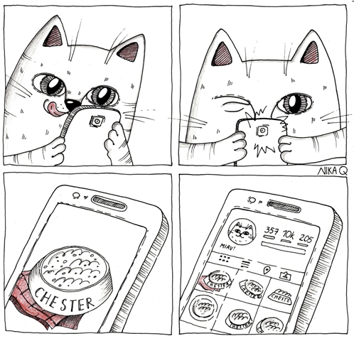comic Cat instagram
