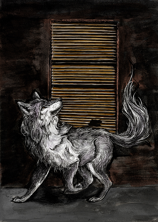 wolf wolves animal pen monochrome shutter Window door fear scared desire Rewilding