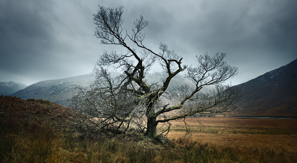 panoramic landscapes scotland winter