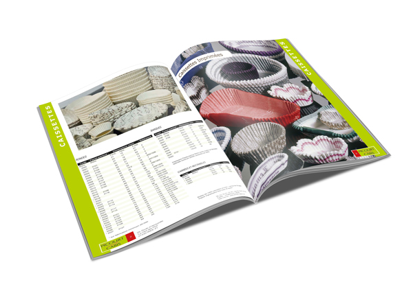 print Catalogue corparate 2009