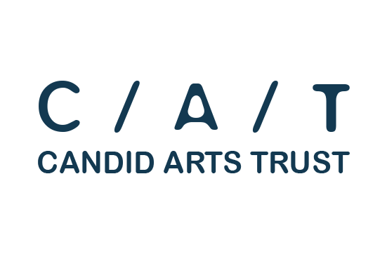 Logo Design logo identity brand identity test Proposal arts trust art arts