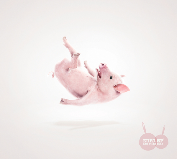 animals color digital imaging  CGI  3d Realism Real hyper real Fur skin details life pig chicken