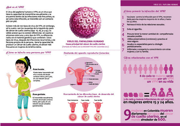 Hpv vírus kreft HPV vírus, HPV fertőzés, HPV terjedése | HPVdoktor