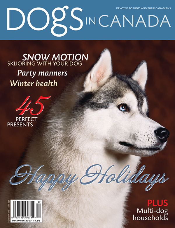 magazine Layout cover page design
