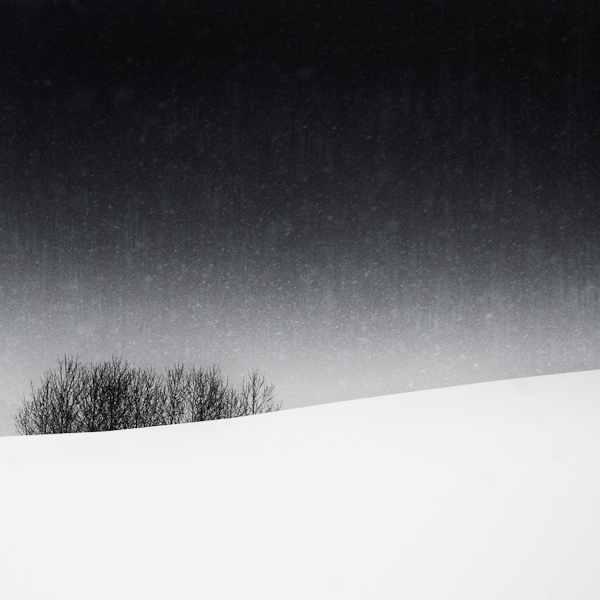 snow winte minimal Landscape zen black and white