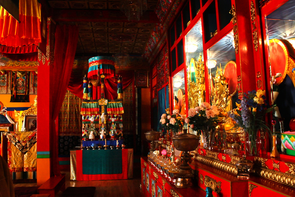Buddha buddhism temple meditate colorful colstine