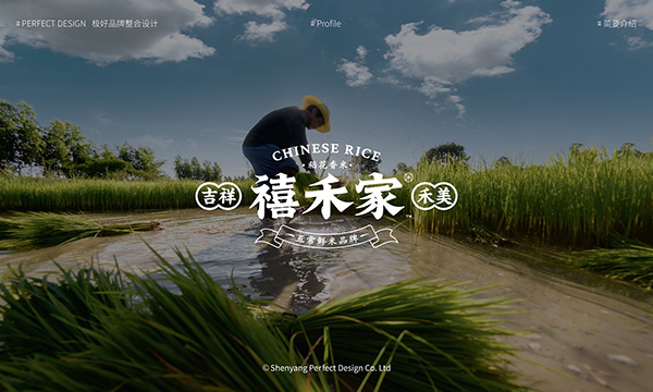 禧禾家品牌设计（Chinese Rice brand Design ）