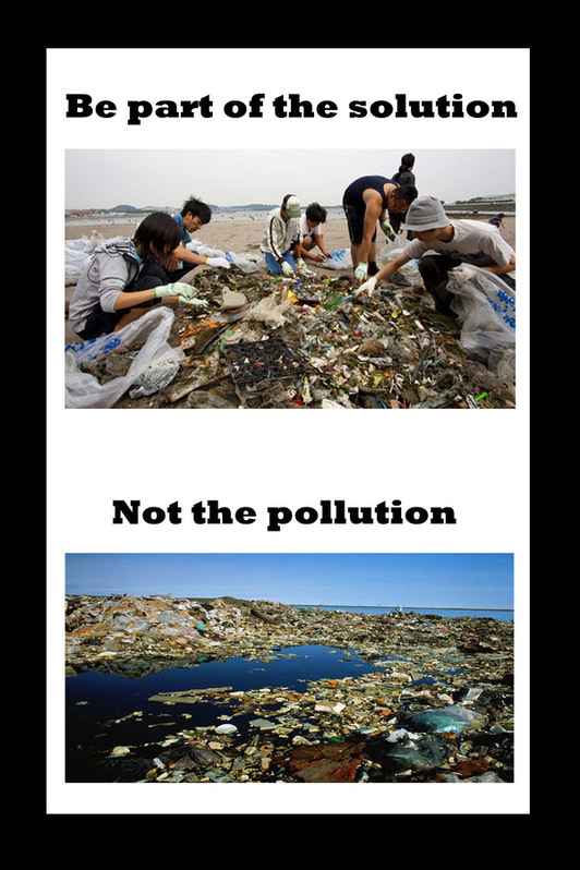 pollution Sollution campaign advertise