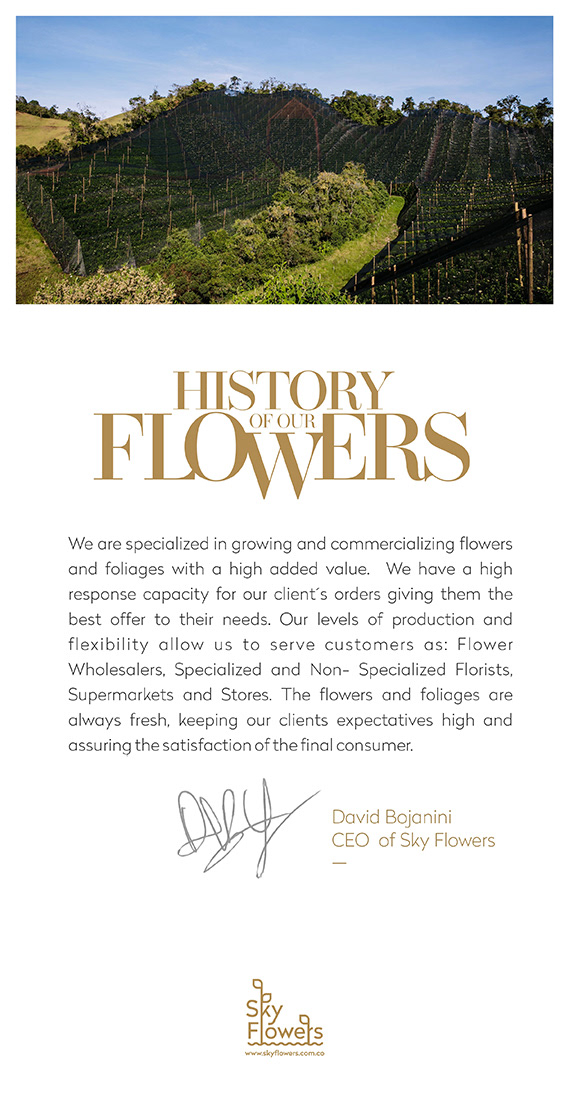 Antioquia colombia Flowers magazine medellin SKY skyflowers brochure design photos